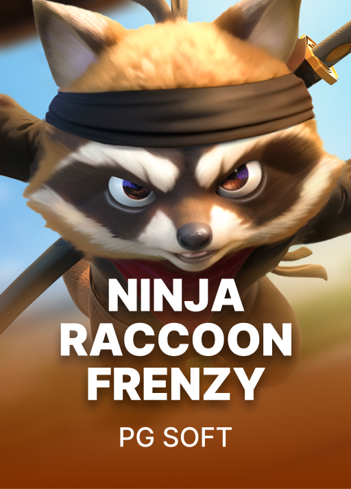 Ninja Raccoon Frenzy